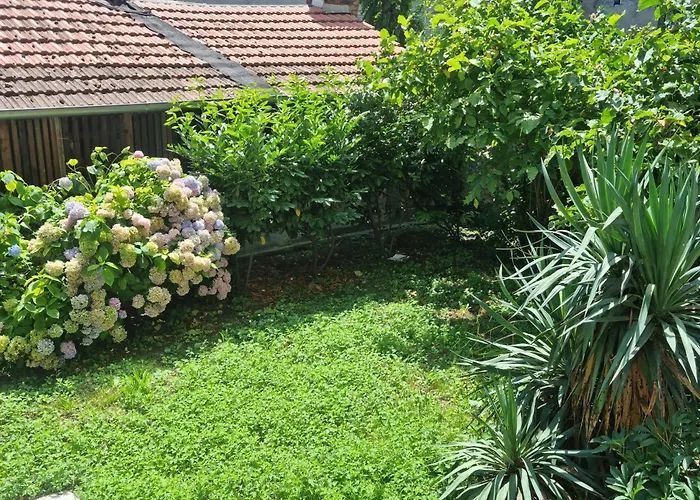 Apartment Piece Of Peace